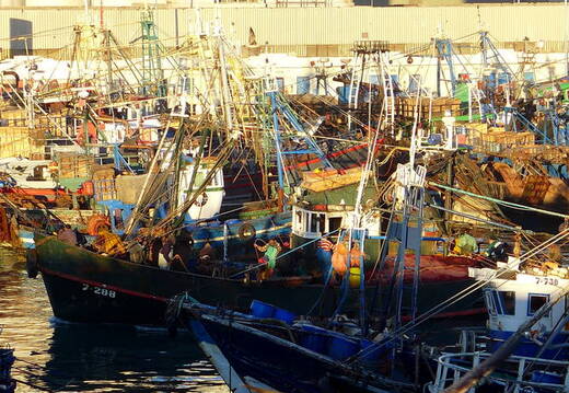 Fischerboote im Hafen