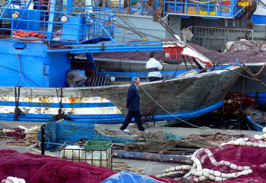 Fischer Vorbereitung