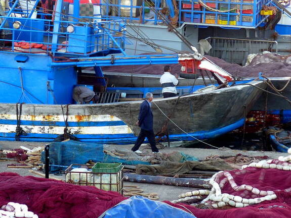 Fischer Vorbereitung