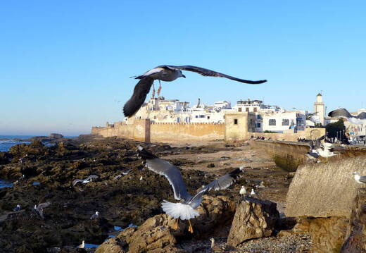 Essaouira Altstadt Stadtmauer