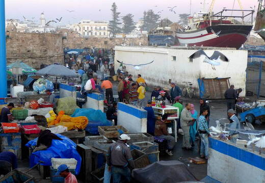 Essaouira Fischereihafen