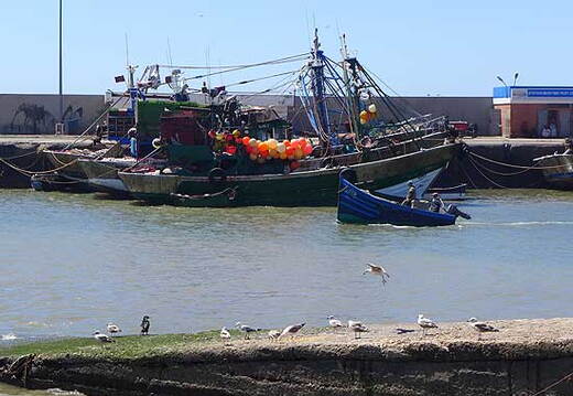 02_alltag in trabzini