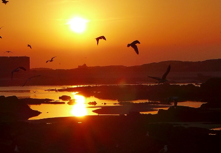 02_alltag in trabzini