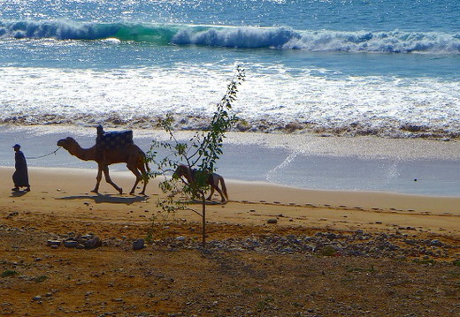 02_alltag in trabzini