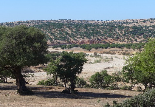 02_alltag in trabzini