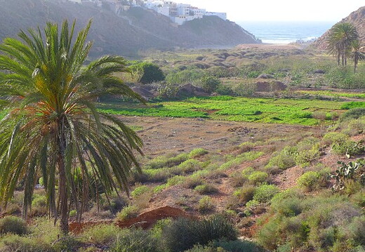 04_Weiterfahrt nach Mirleft