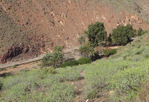 04_Weiterfahrt nach Mirleft