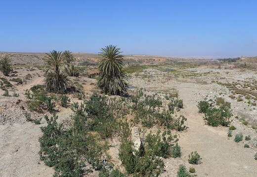 04_Weiterfahrt nach Mirleft