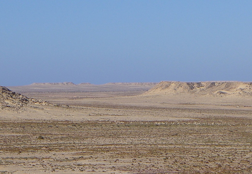 05_westsahara