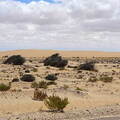 05_westsahara