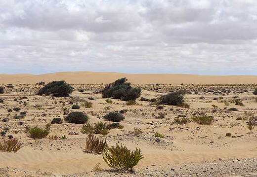 05_westsahara
