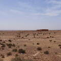 05_westsahara