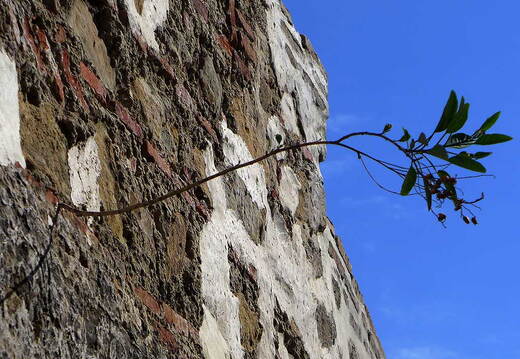 002_Mit der Fähre nach Tanger