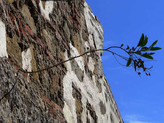 002_Mit der Fähre nach Tanger