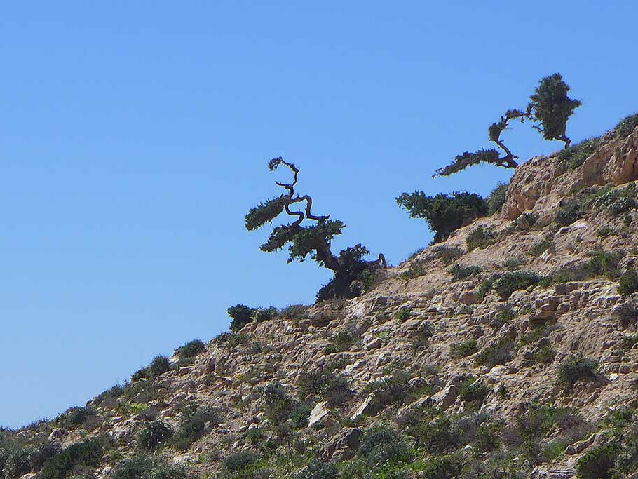 005_Tour nach Sidi Ifni