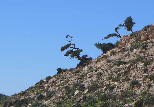 005_Tour nach Sidi Ifni