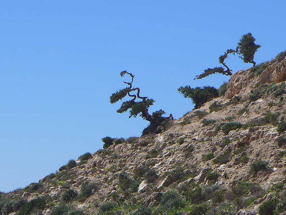 005_Tour nach Sidi Ifni