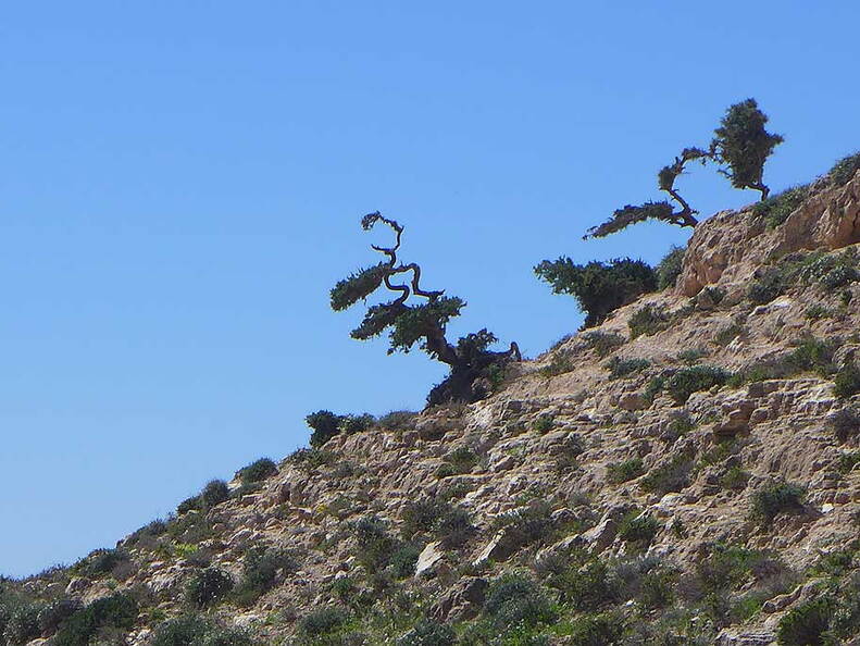 005_Tour nach Sidi Ifni