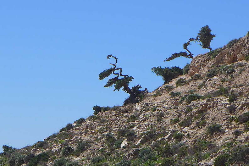 005_Tour nach Sidi Ifni
      