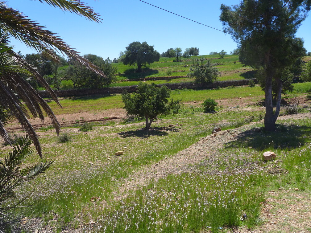 005_Tour nach Sidi Ifni