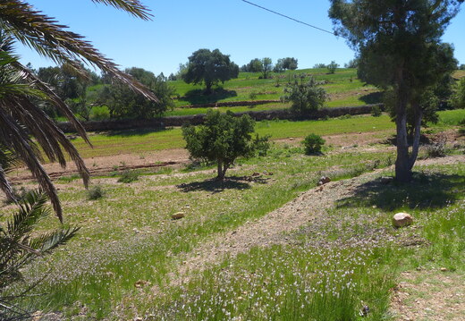 005_Tour nach Sidi Ifni