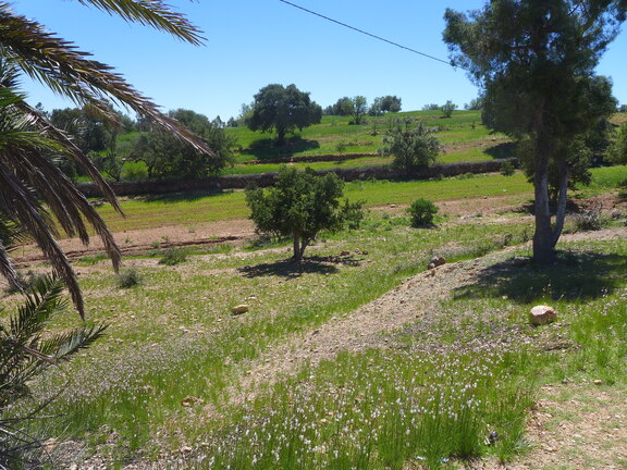 005_Tour nach Sidi Ifni