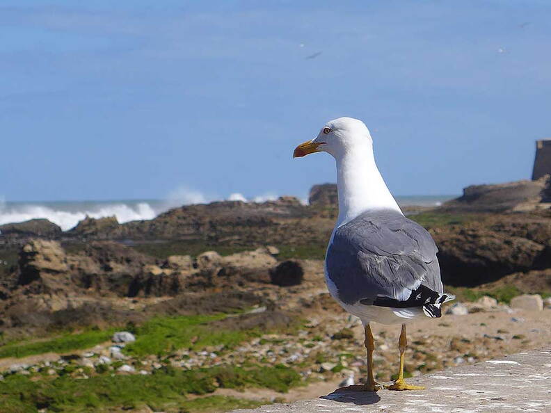005_Tour nach Sidi Ifni