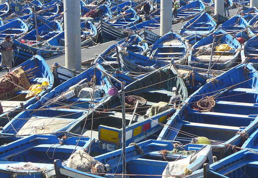 005_Tour nach Sidi Ifni