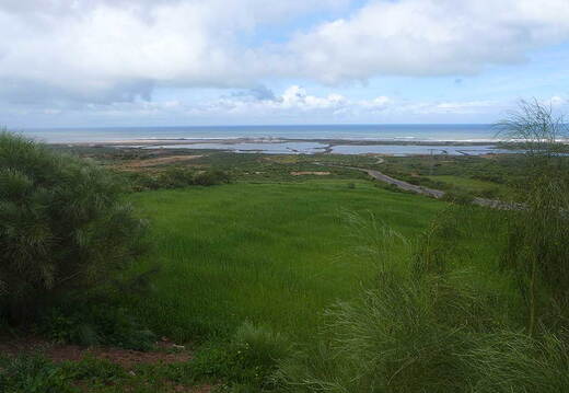 005_Tour nach Sidi Ifni