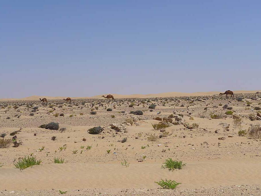 006_Tour nach Laayoune