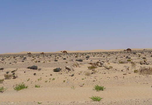 006_Tour nach Laayoune