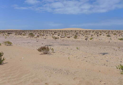 006_Tour nach Laayoune