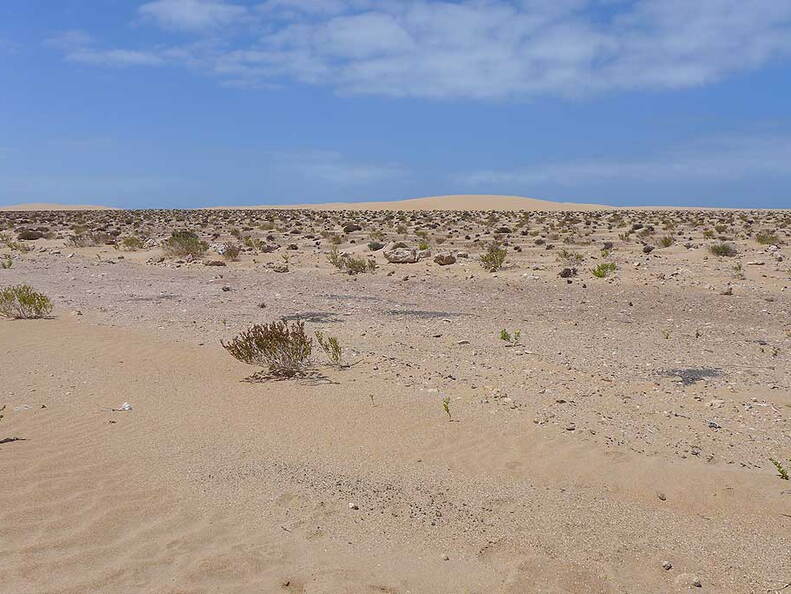 006_Tour nach Laayoune