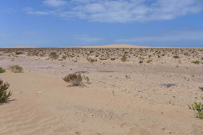 006_Tour nach Laayoune
      