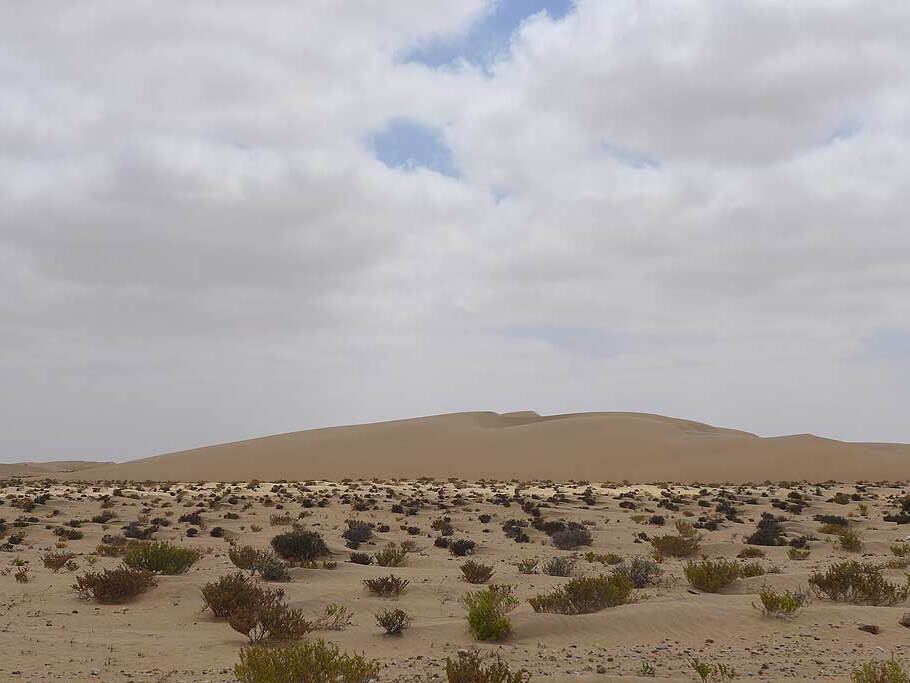 006_Tour nach Laayoune