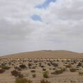 006_Tour nach Laayoune
