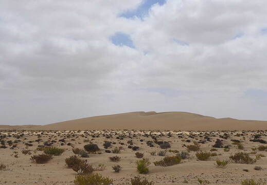006_Tour nach Laayoune