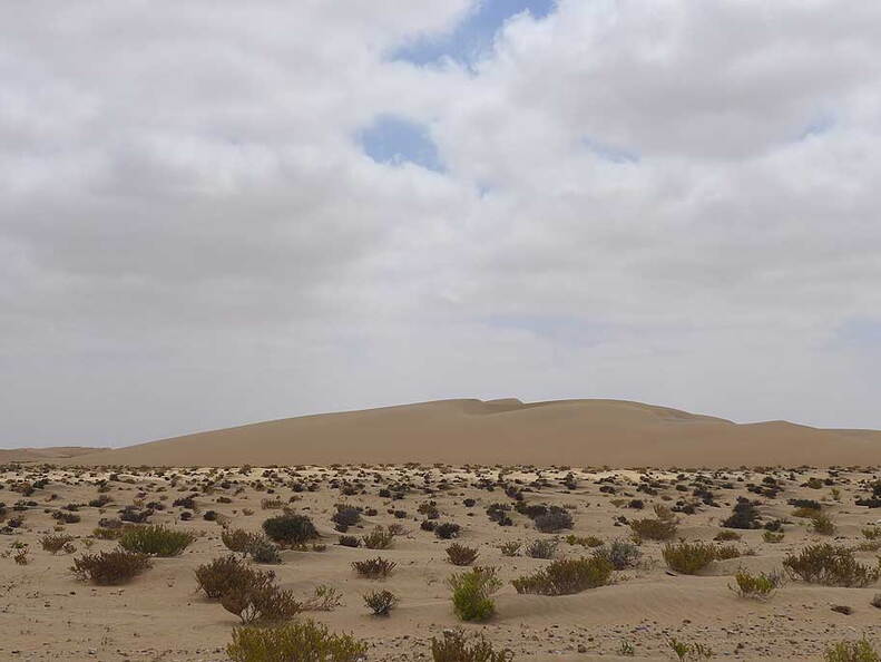 006_Tour nach Laayoune