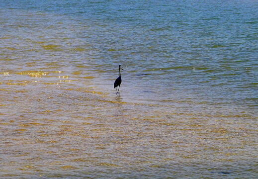 009_Die Reise von Mauretanien nach Senegal