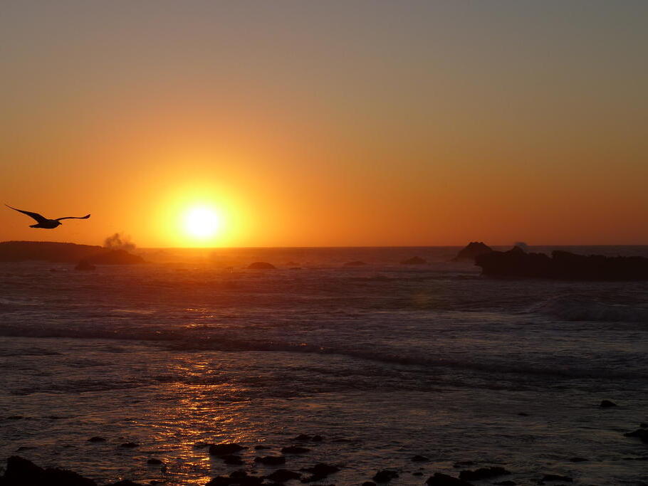 02 Von Marrakesch nach Essaouira