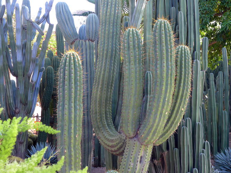 02 Von Marrakesch nach Essaouira