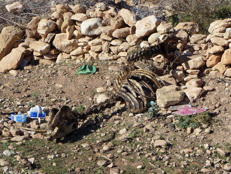 02 Von Marrakesch nach Essaouira