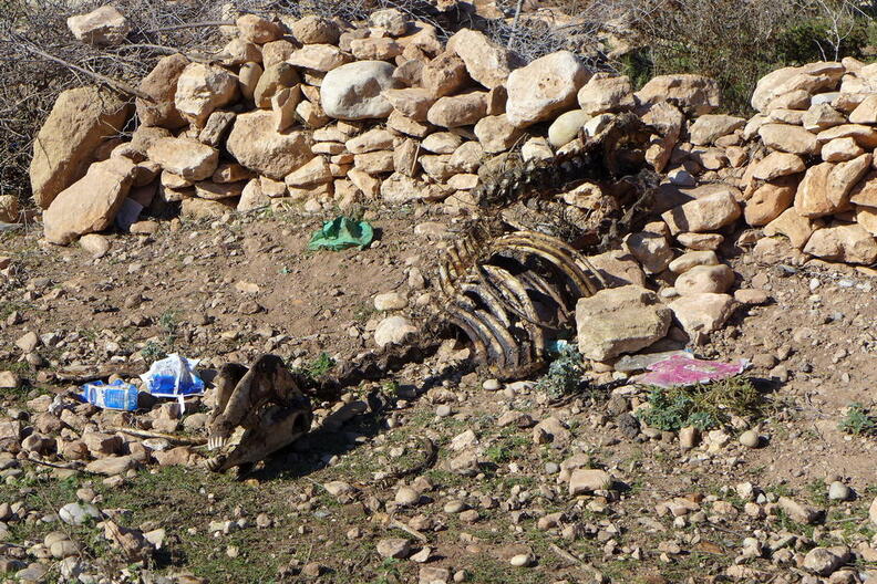 02 Von Marrakesch nach Essaouira
      