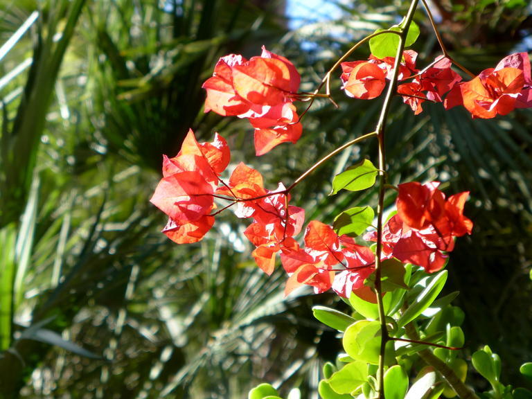 02 Von Marrakesch nach Essaouira