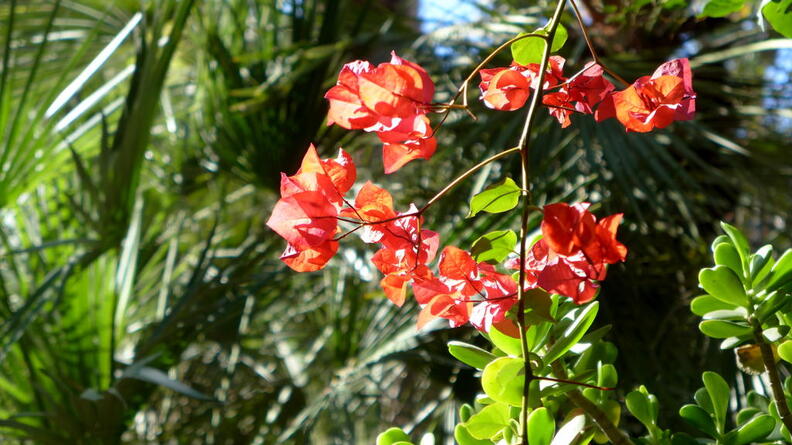02 Von Marrakesch nach Essaouira
      