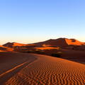 04_In der Sahara