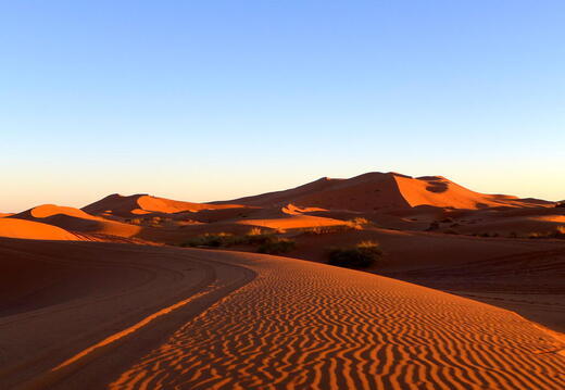 04_In der Sahara