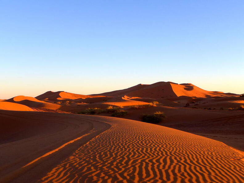 04_In der Sahara
      