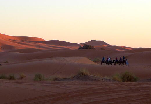 04_In der Sahara