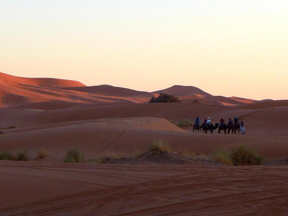 04_In der Sahara